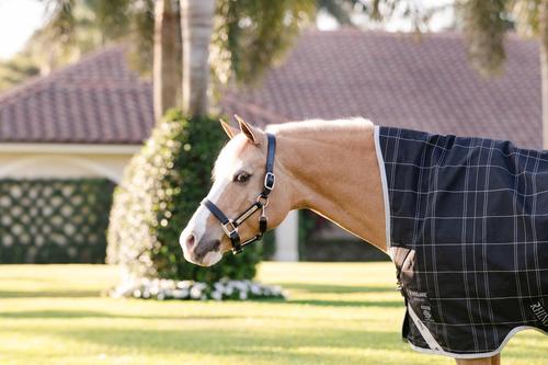 Show full view: Horseware Ireland Rhino Wug 250g Vari-Layer Pony Turnout, Black / Grey / White Check / Gray, 66 inches slide 3 of 8