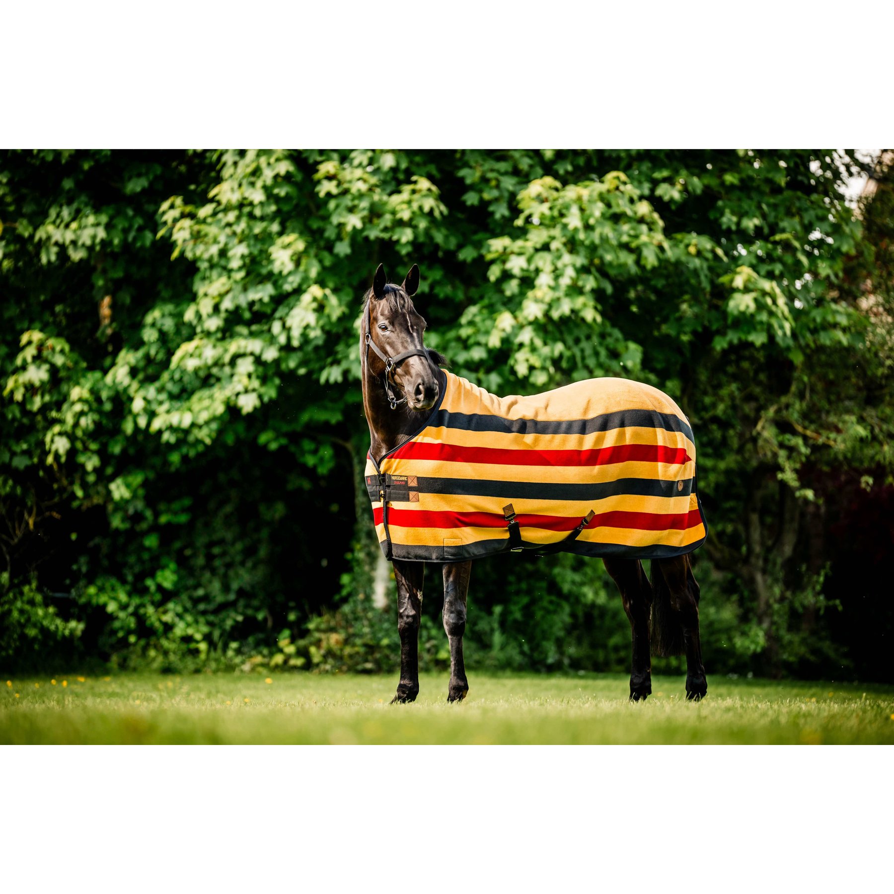 Horseware Newmarket Fleece Horse Cooler, Witney Gold, 66 inches