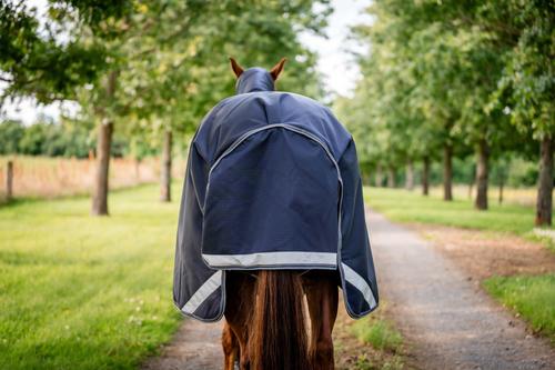Show full view: Horseware Ireland Rambo 1680D 0g Horse Turnout, Navy / Thunderstorm Grey / Silver, 66 inches slide 6 of 7
