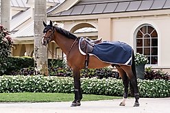 Horseware Ireland Amigo Ripstop Horse Exercise Sheet, Navy / Titanium Grey, Medium