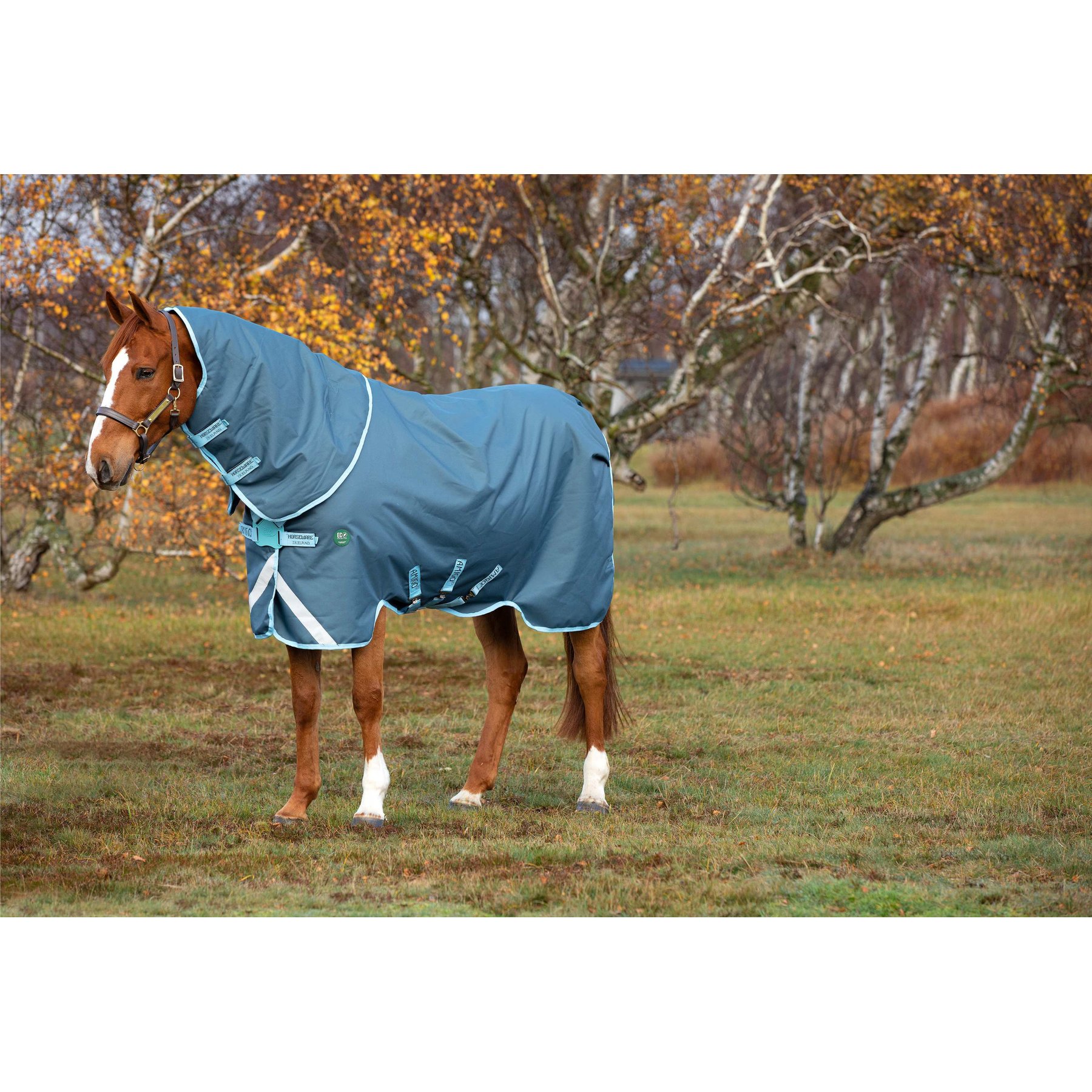 Horseware AmEco 1200D Plus 250g Horse Turnout, Dark Blue / SkyBlue / Dark Blue, 81 inches