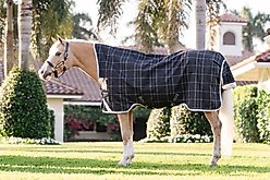 Horseware Ireland Rhino Wug 0g Pony Turnout, Black / Grey / White Check / Gray, 69 inches