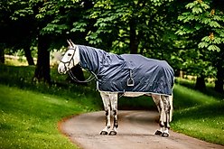 Horseware Ireland Horseware Newmarket Horse Rain Sheet, Navy, Large