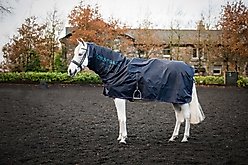 Horseware Ireland Rambo Mack in a Sack Horse Sheet, Navy / Burgundy / Teal, Large