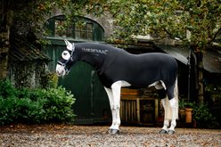 Horseware Rambo Slinky Full Body Horse Sheet, Black, Large