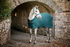 Horseware Ireland Amigo Horse Jersey Cooler, Dynasty Green / Navy / Silver, 78 inches