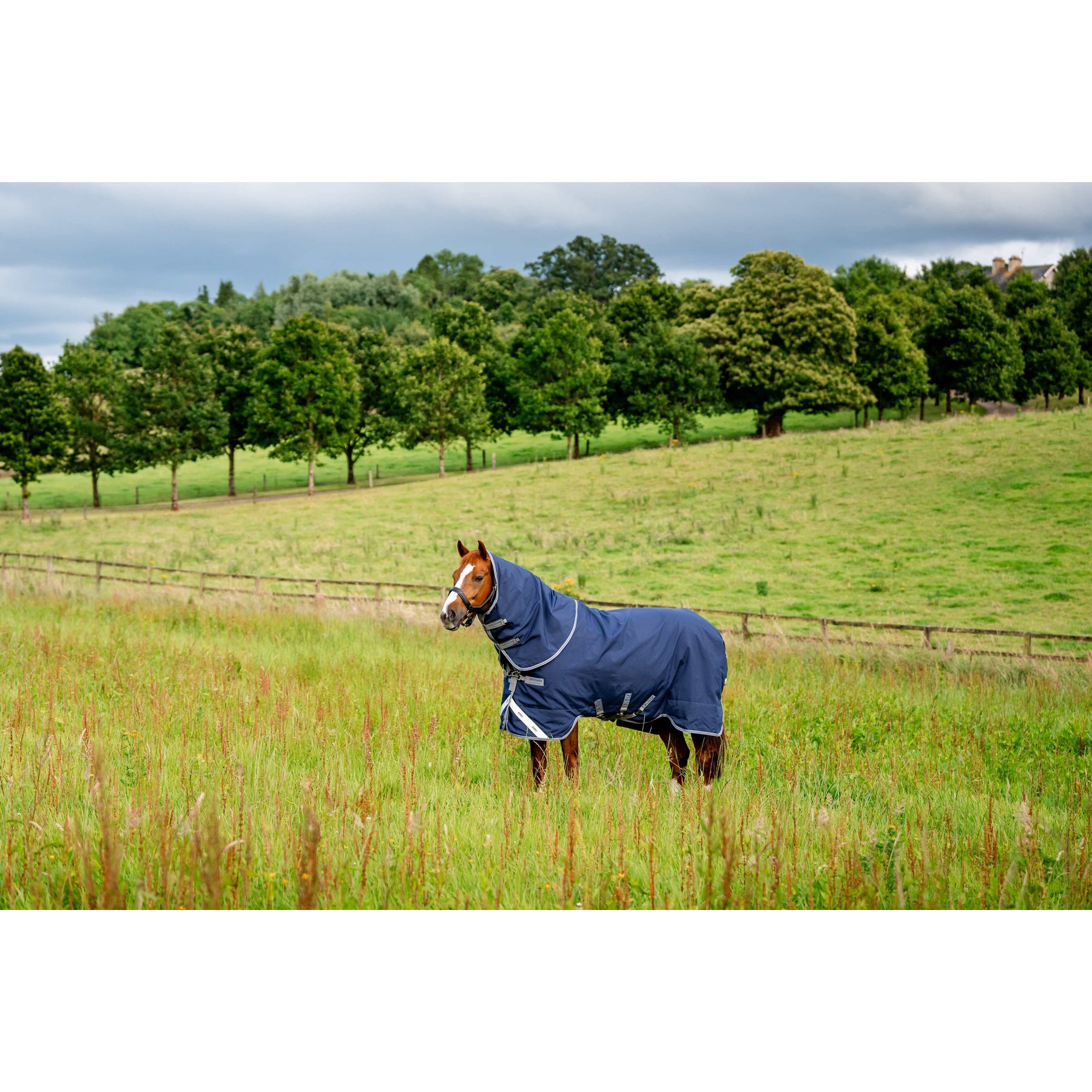 Horseware Rhino Plus 250g Vari-Layer Horse Turnout, Navy / Titanium Grey / Classic Blue, 66 inches
