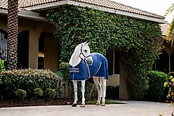 Horseware Ireland Rambo Embossed Lining Horse Stable Sheet, Navy / Thunderstorm Grey / Silver, 60 inches