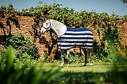 Horseware Ireland Horseware Newmarket Fleece Horse Cooler, Witney Navy, 66 inches