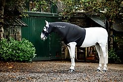 Horseware Ireland Rambo Slinky Horse Hood, Black, X Small