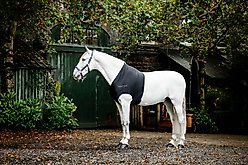 Horseware Ireland Rambo Slinky Horse Shoulder Guard, Black, Medium