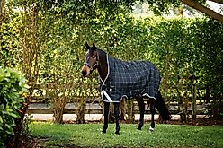 Horseware Ireland Rhino Wug 250g Vari-Layer Horse Turnout, Black / Grey / White Check / Gray, 87 inches