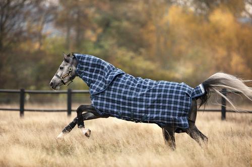 Show full view: Horseware Ireland Rhino Plus 450g Vari-Layer Horse Turnout, Navy Check / Indigo, 66 inches slide 2 of 2