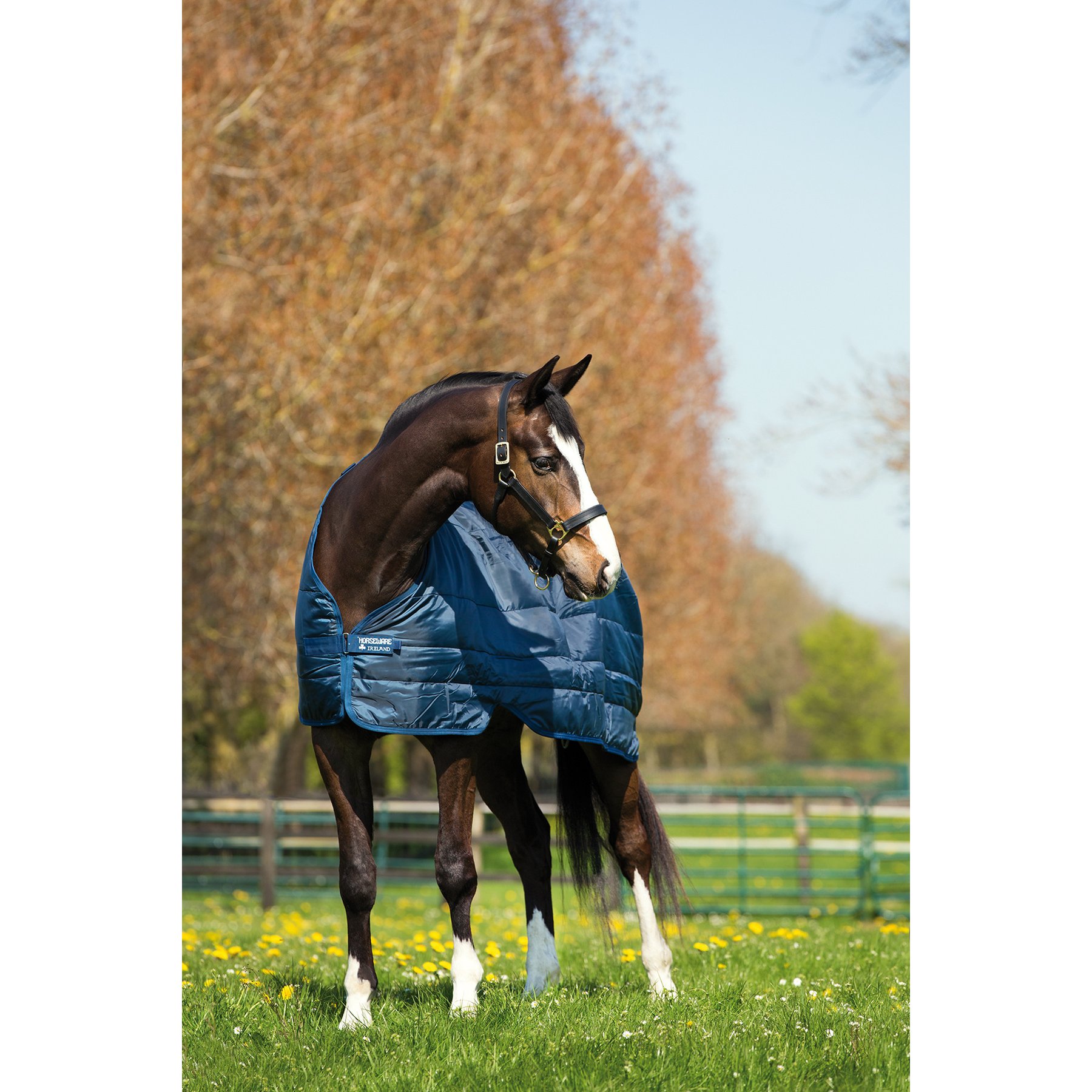 Horseware 100g Horse Liner, Navy, 69 inches