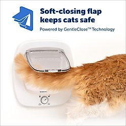PetSafe 4-Way Locking Plastic Big Cat Door, White slide 2 of 8