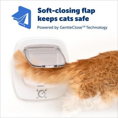 Show full view: PetSafe 4-Way Locking Plastic Big Cat Door, White slide 4 of 9