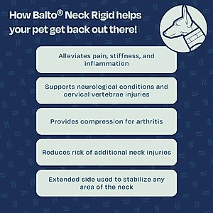 Balto Rigid Dog Neck Brace, Small