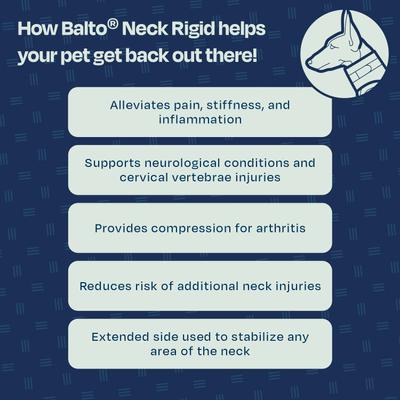 Show full view: Balto Rigid Dog Neck Brace, Medium slide 7 of 10