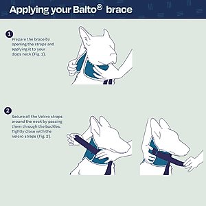 Balto Rigid Dog Neck Brace, Small