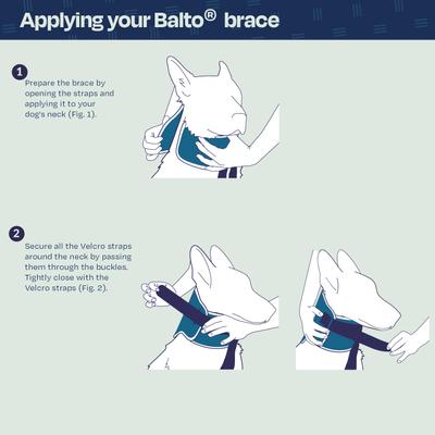 Show full view: Balto Rigid Dog Neck Brace, Medium slide 5 of 10