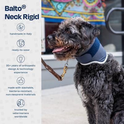 Show full view: Balto Rigid Dog Neck Brace, Medium slide 6 of 10