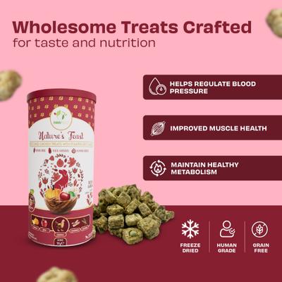 Show full view: Pawfect Nature's Feast Chicken with Pumpkin & Apple Grain-Free All Natural Freeze-Dried Dog Training Treat, 5.29-oz canister slide 5 of 9
