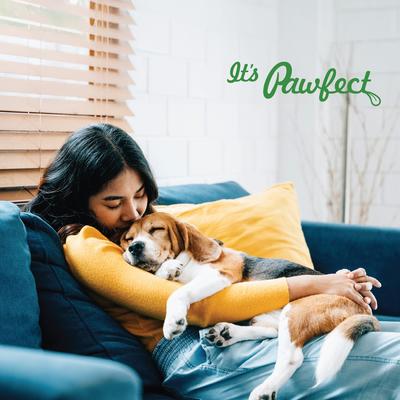 Show full view: Pawfect All Natural Grain-free Yogurt with Carrot Prebiotic Probiotic Freeze-dried Dog Treat, 1.34-oz canister slide 9 of 10