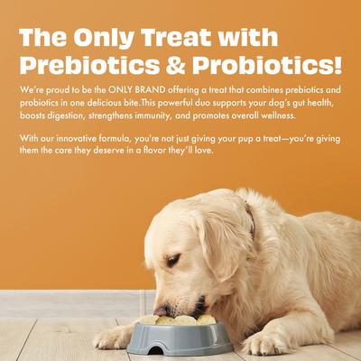 Show full view: Pawfect All Natural Grain-free Yogurt with Carrot Prebiotic Probiotic Freeze-dried Dog Treat, 1.34-oz canister slide 7 of 10