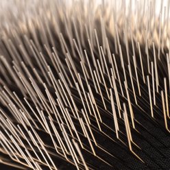 Chris Christensen KARBEN Dog, Cat, Horse & Small Pet Pin Slicker Brush, Natural Wood, Medium slide 2 of 7