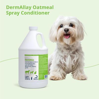 Show full view: DermAllay Oatmeal Spray Conditioner for Dogs, Cats & Horses, 1-gallon bottle slide 8 of 9