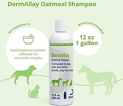 DermAllay Oatmeal Shampoo for Dogs, Cats & Horses, 12-fl oz bottle slide 2 of 7