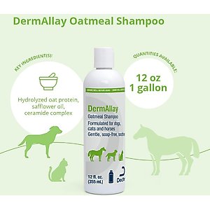 DermAllay Oatmeal Shampoo for Dogs, Cats & Horses, 12-fl oz bottle