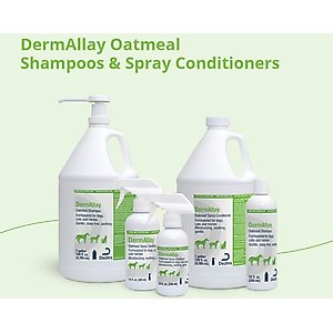 DermAllay Oatmeal Shampoo for Dogs, Cats & Horses, 12-fl oz bottle