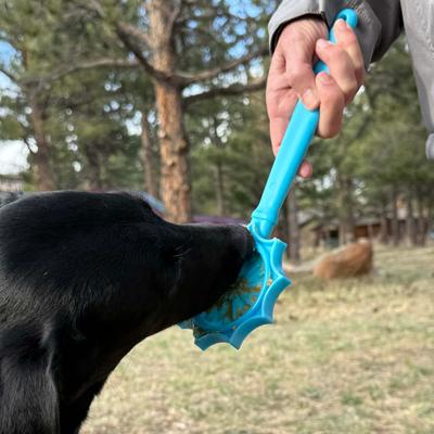 Show full view: SodaPup Flower Lick Stick Dog Toy, Blue slide 6 of 6