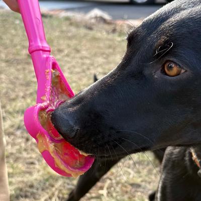 Show full view: SodaPup Ice Cream Cone Lick Stick Dog Toy, Pink slide 7 of 7