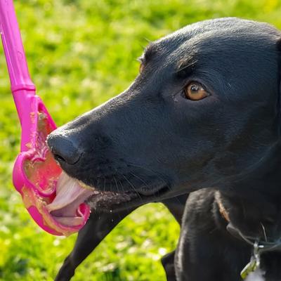 Show full view: SodaPup Ice Cream Cone Lick Stick Dog Toy, Pink slide 3 of 7