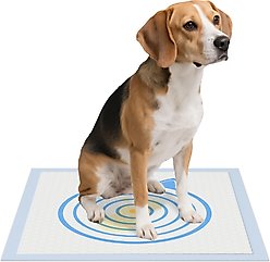 els pet Dog Training Pee Pads, 24 x 24-in, 100 count, Unscented, Large