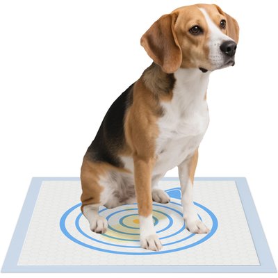 els pet els pet Dog Training Pee Pads, 24 x 24-in, 100 count, Unscented, Large
