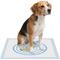 Show in main carousel: els pet Dog Training Pee Pads, 24 x 24-in, 100 count, Unscented, Large slide 1 of 9