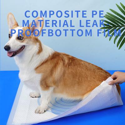 Show full view: els pet Dog Training Pee Pads, 24 x 35-in, 50 count, Unscented, X-Large slide 6 of 9
