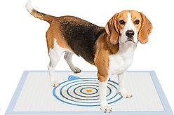 els pet Dog Training Pee Pads, 24 x 35-in, 50 count, Unscented, X-Large