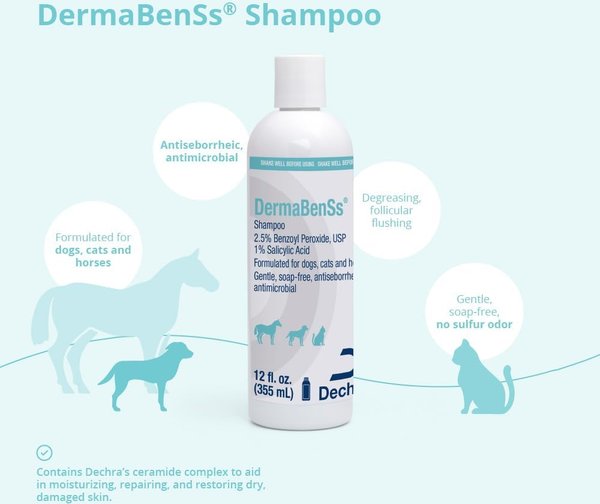 Show full view: DermaBenSs Shampoo for Dogs, Cats & Horses, 12-fl oz bottle slide 4 of 8