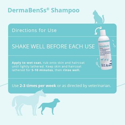 Show full view: DermaBenSs Shampoo for Dogs, Cats & Horses, 12-fl oz bottle slide 4 of 9