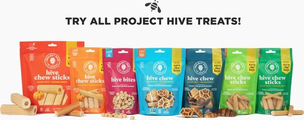 Project Hive Pet Company Pumpkin Dental Stick Dog Chew Treat, X-Large