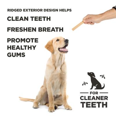 Show full view: Project Hive Pet Company Pumpkin Dental Stick Dog Chew Treat, Large, 7-oz bag slide 4 of 10