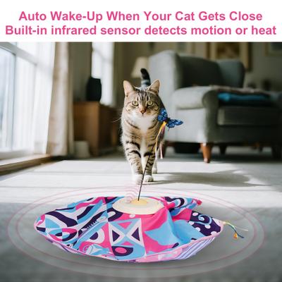 Show full view: Shele Smart Interactive Dual Teasing Rods Cat Toy slide 3 of 11