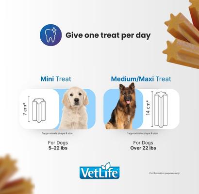 Show full view: Farmina Vet Life Derma Management Sweet Potato & Pork Adult Dog Treats, 3.5-oz bag slide 6 of 8