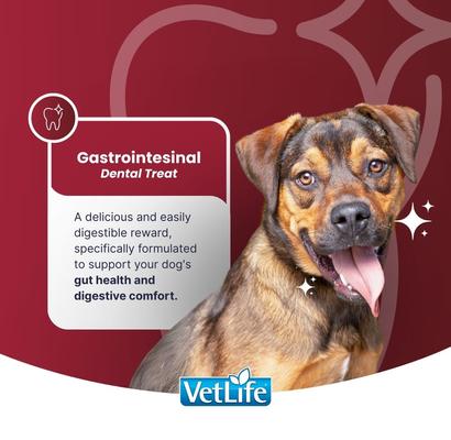 Show full view: Farmina Vet Life Gastrointestinal Medium & Maxi Dog Treats, 3.5-oz bag slide 3 of 8