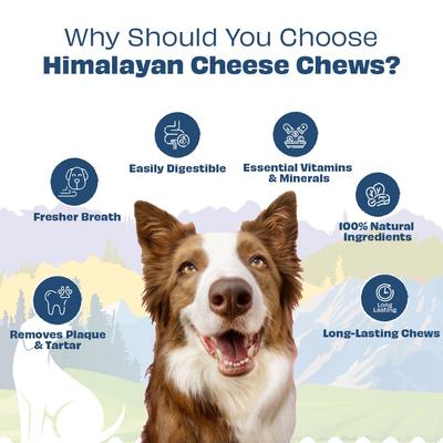 Show full view: Pawfect Himalayan Cheese Bars Variety Pack Dog Chews, Medium, 6 count slide 4 of 7