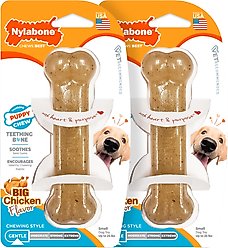 Nylabone Puppy Chew Chicken Flavored Puppy Chew Toy, Small, bundle of 2
